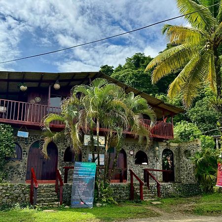 Posada Turistica Rocas De Cabo Marzo Bahia Solano Exteriér fotografie
