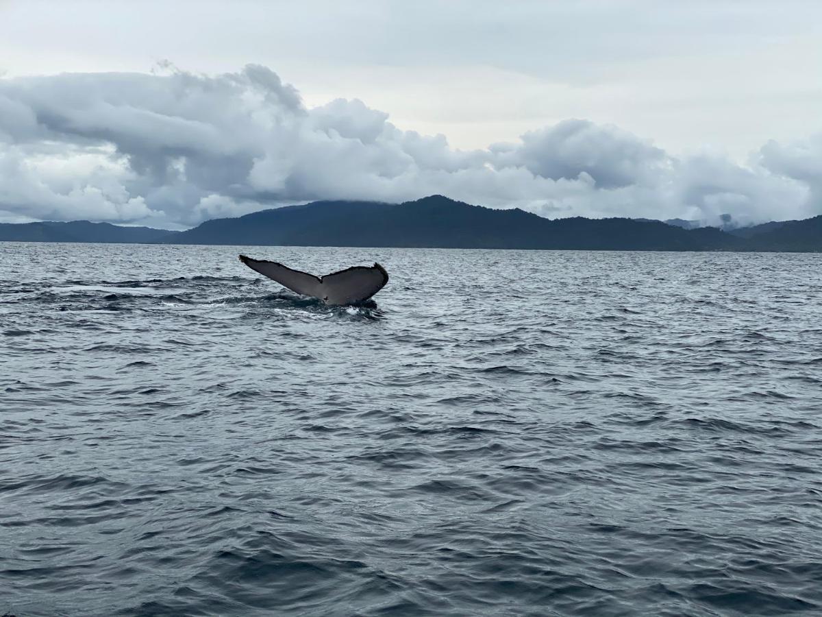 Posada Turistica Rocas De Cabo Marzo Bahia Solano Exteriér fotografie