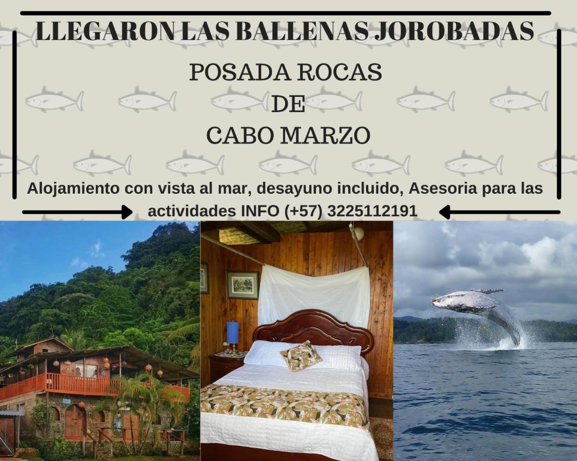Posada Turistica Rocas De Cabo Marzo Bahia Solano Exteriér fotografie