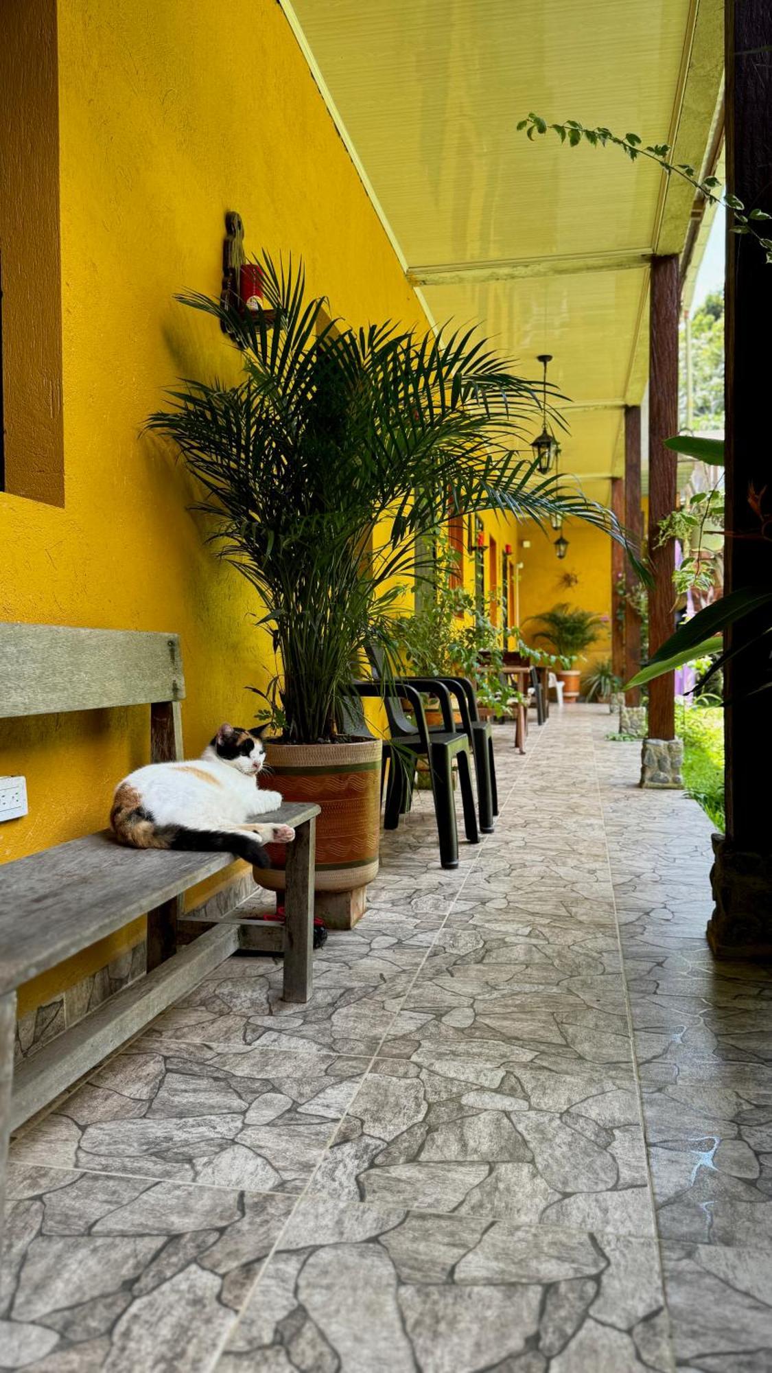 Posada Turistica Rocas De Cabo Marzo Bahia Solano Exteriér fotografie