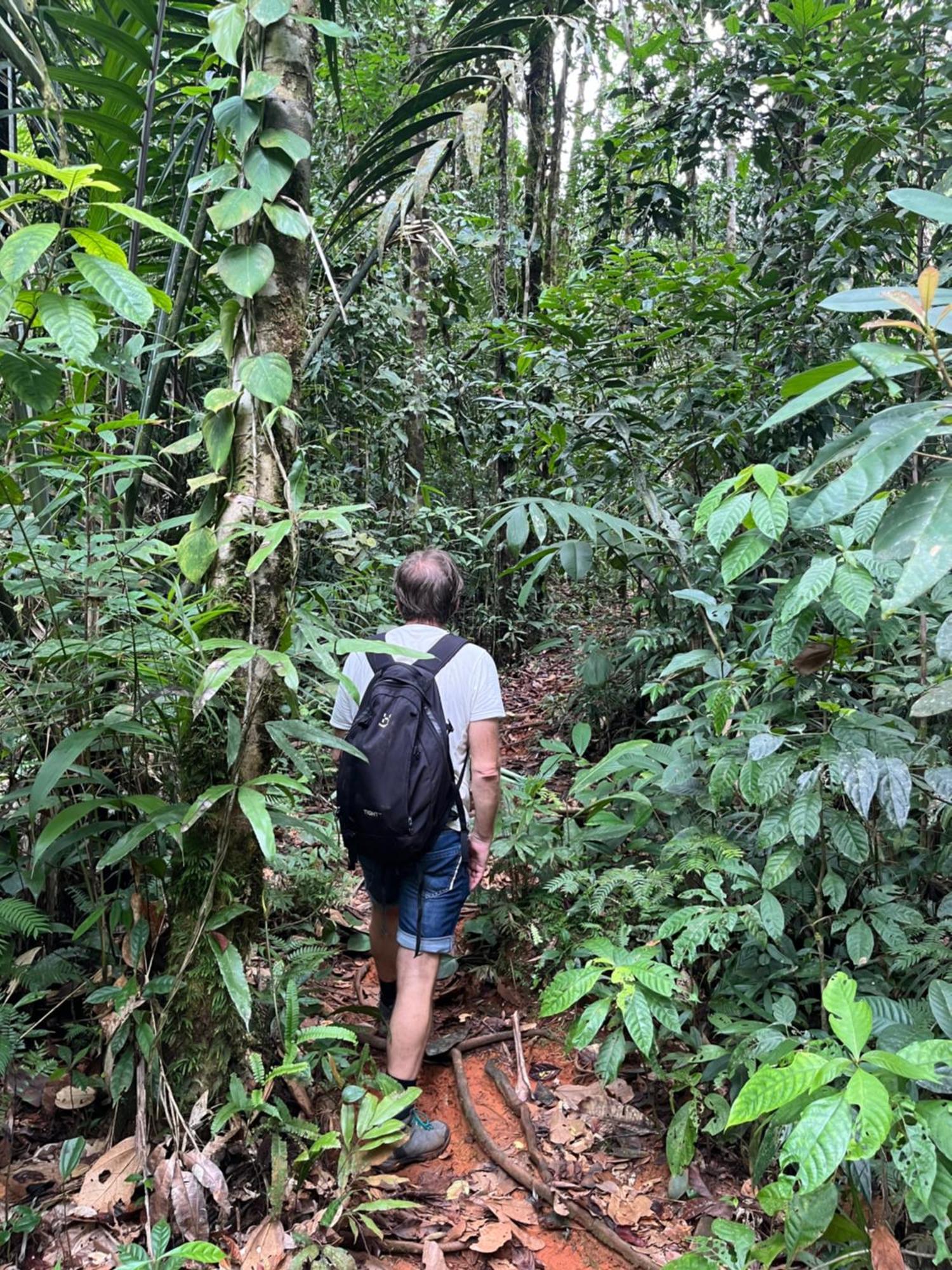 Posada Turistica Rocas De Cabo Marzo Bahia Solano Exteriér fotografie